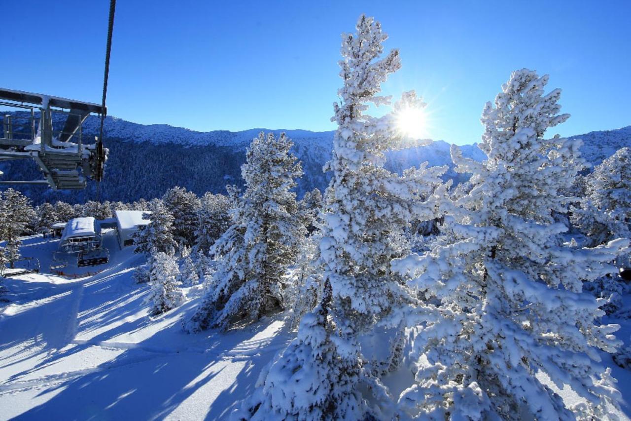 Lucy'S Apartments Emerald Bansko Exterior photo